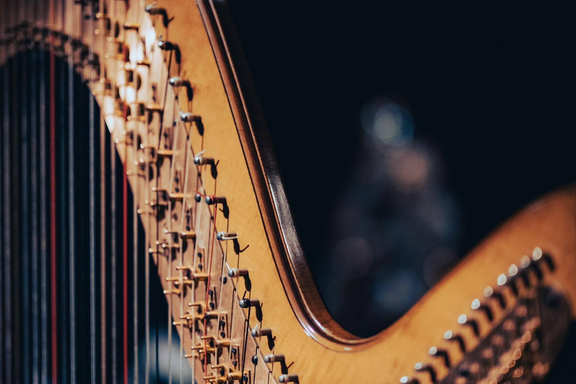 Close-up of golden harp strings and soundboard.