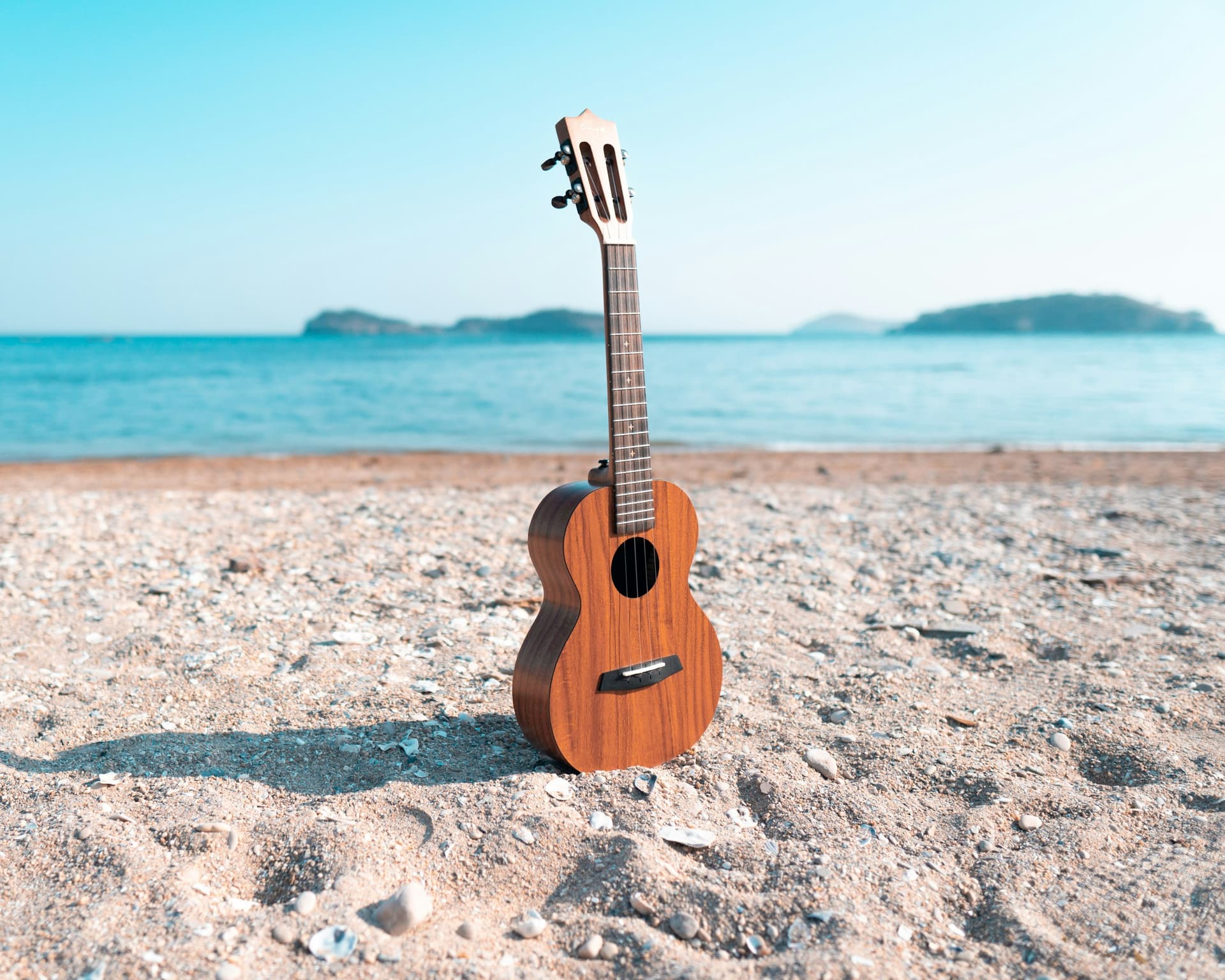 A ukulele standing in the sand by the sea.